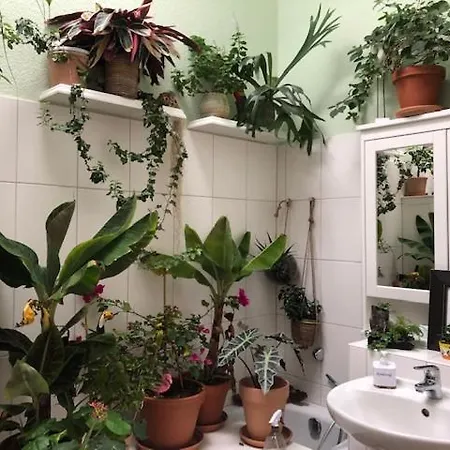 Sera's Guestroom Quarto em Acomodações Particulares *