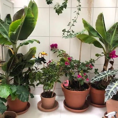 Sera's Guestroom * Kelsterbach